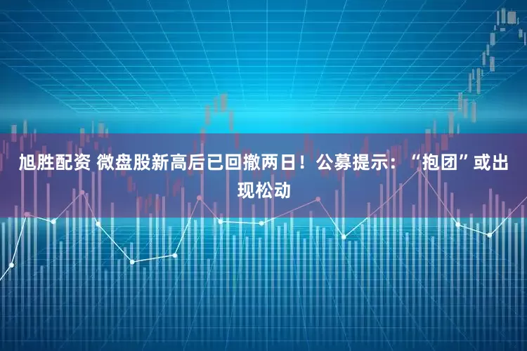 旭胜配资 微盘股新高后已回撤两日！公募提示：“抱团”或出现松动