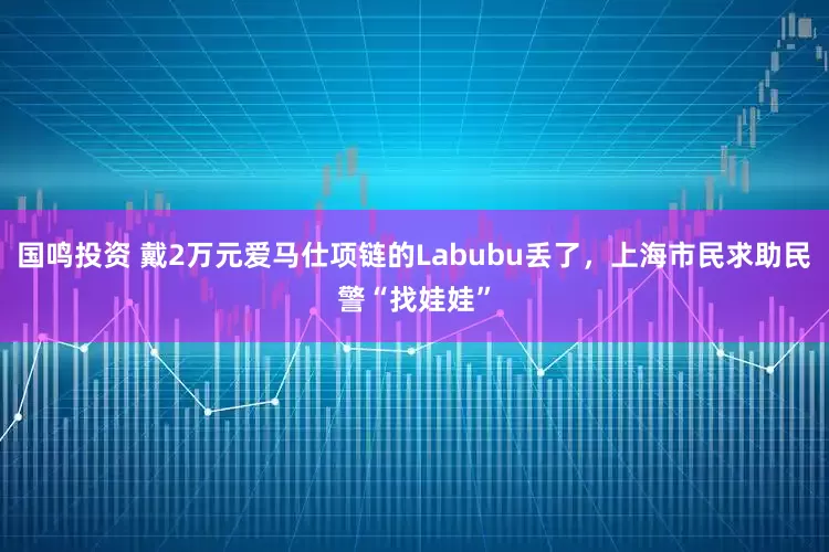 国鸣投资 戴2万元爱马仕项链的Labubu丢了，上海市民求助民警“找娃娃”