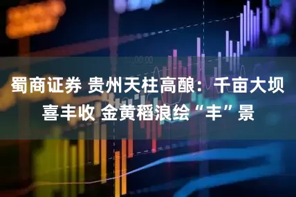 蜀商证券 贵州天柱高酿：千亩大坝喜丰收 金黄稻浪绘“丰”景