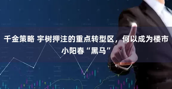 千金策略 宇树押注的重点转型区，何以成为楼市小阳春“黑马”