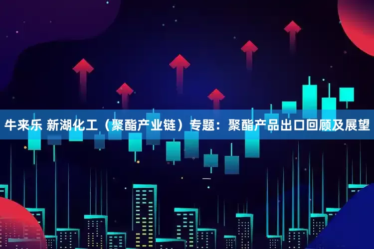 牛来乐 新湖化工（聚酯产业链）专题：聚酯产品出口回顾及展望